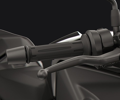 Manetas ajustables y puños calefactados de la F 450 R de BMW Motorrad