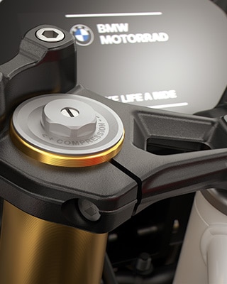 La horquilla invertida dorada de 43 mm de la F 450 RR de BMW Motorrad