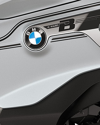 La pintura Ionic Silver metallic